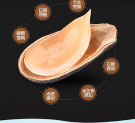 沙土喝茶瓜子濕西瓜子水煮五香咸味鹵味袋裝休閑零食批發小吃